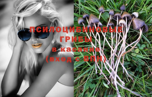 a pvp Дмитровск