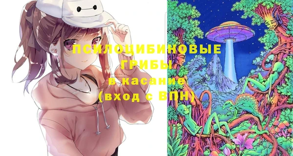 a pvp Дмитриев