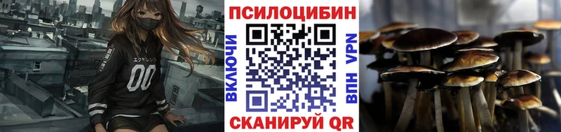 MEGA как войти  Ермолино  Галлюциногенные грибы мицелий  купить наркотики цена 